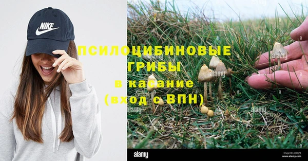 кокс Арсеньев