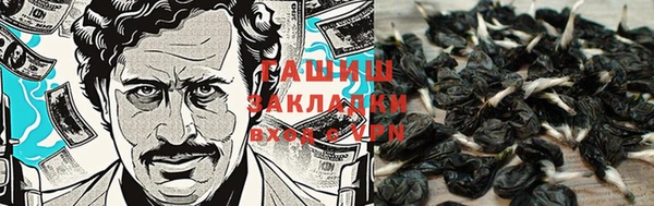 кокс Арсеньев