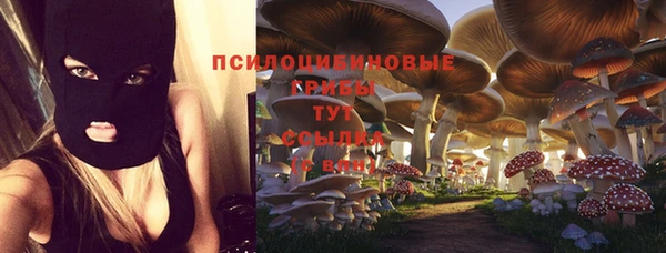 бутират Сатка