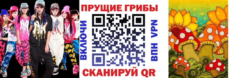 Галлюциногенные грибы MAGIC MUSHROOMS  продажа наркотиков  Солнечногорск 
